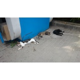 Дикая фауна - 02.jpg Дикая фауна - 02.jpg